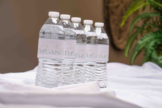 Bottled water (16.9 oz)